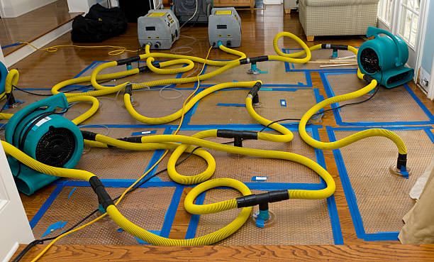 Professional Structural Drying And Dehumidification technician working in Thiells, NY
